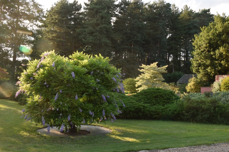 Fullers Mill Garden